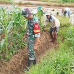 Babinsa Rubaru Bantu Petani