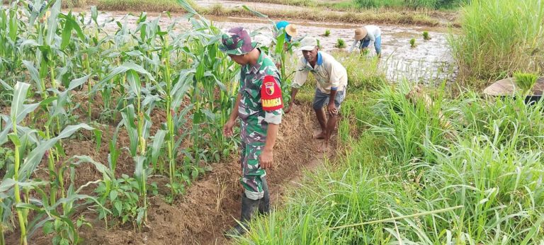 Babinsa Rubaru Bantu Petani